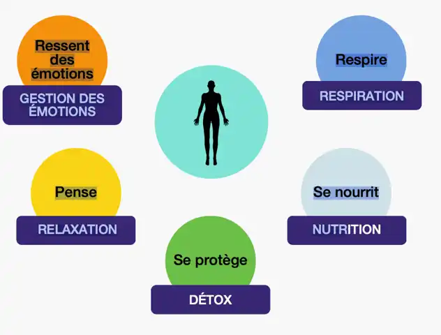 Les 5 facteurs du vivant du Dr Rougier